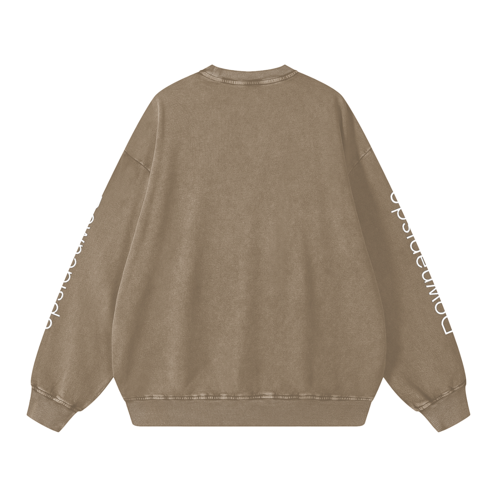 Upside down Snow Washed Oversized Sweatshirt